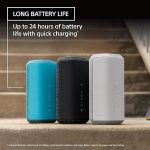 Sony SRSXE300 bluetooth speaker in kenya at mtronics audio shop